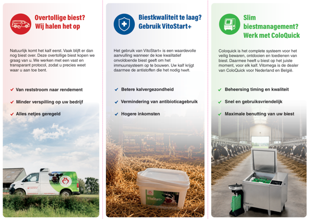 foto drieluik flyer